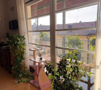_image11-7013.jpeg