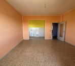 img8681-6769.jpeg