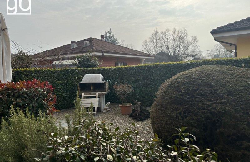 img7169.jpg